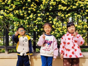 QQ图片20240418095718